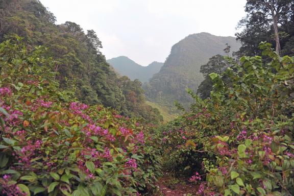 Immersion au coeur du massif de Thong Nong tout au nord du Vietnam