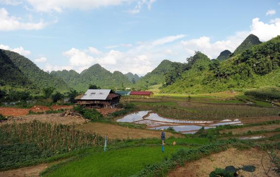 Randonnée vers le village de Nam Ngu dans le massif de Thong Nong