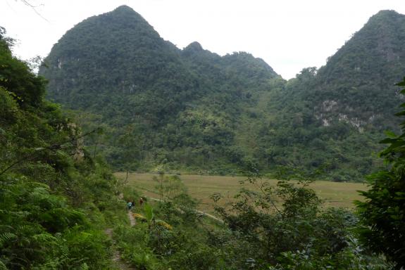 Trekking à travers des pitons calcaires boisés du Haut Tonkin