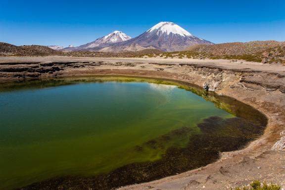 Le lac Chungara et le Parinacota (6 300 m) dans le désert d’Atacama au Chili