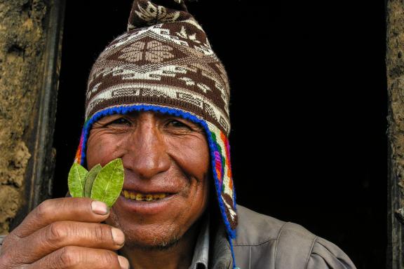 Un Amauta lit dans des feuilles sacrées de coca en Bolivie