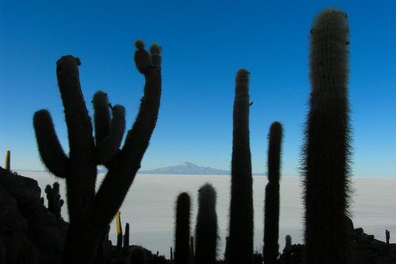 Salar d'Uyuni en Bolivie

Salar d'Uyuni en Bolivie