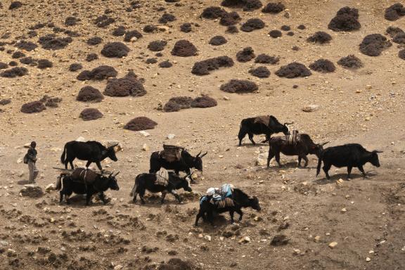 Entre Tangye et Tetang au Mustang au Népal