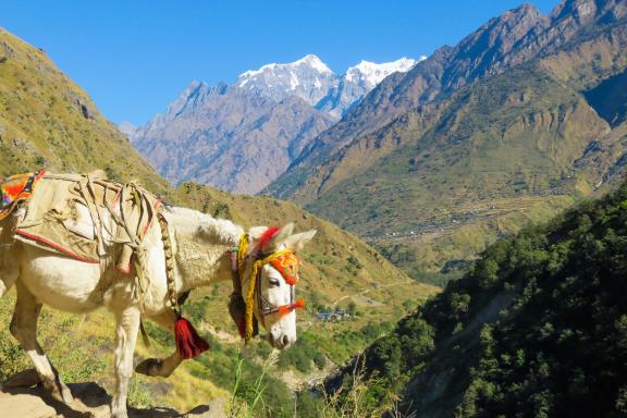 Trek dans la vallée de la Tsum dans la région du Manaslu au Népal