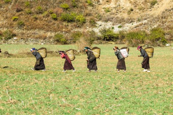 Trek dans la vallée de la Tsum dans la région du Manaslu au Népal