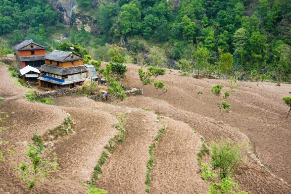 Entre Arughat et Seti Khola dans la région du Manaslu au Népal