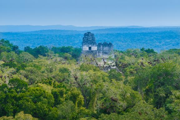 Tikal dans le Petén au Guatemala