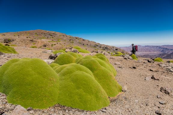 Trek dans la précordillère, région de Parinacota dans le désert d’Atacama au Chili