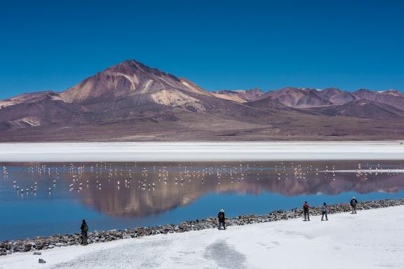 Trek dans le salar de Surire, région de Parinacota au Chili