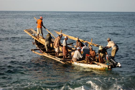 Voyage vers une pêche traditionnelle aux cachalots à Lamalera
