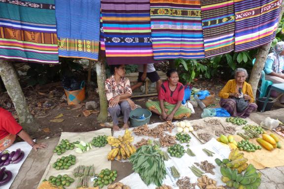 Randonnée vers un marché local sur l'île de Lembata dans les petites îles de la Sonde