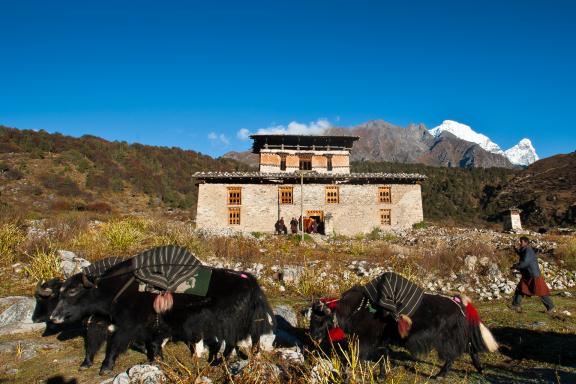 Village de Chozo dans la vallée de Lunana pendant le Snowman trek au Bhoutan