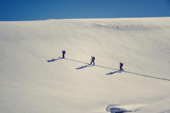 Expédition et ski de randonnée en montée au Grand Paradis