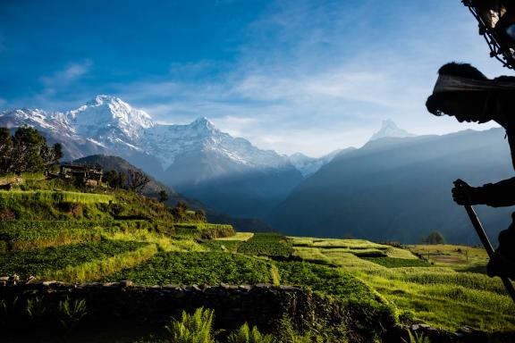 L’Annapurna sud, le Hiunchuli et le Machapuchare depuis le village de Ghandruk au Népal
