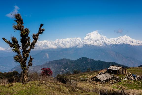 Bergerie de Tin Pokari entre Poon Hill et Mohare Danda au Népal