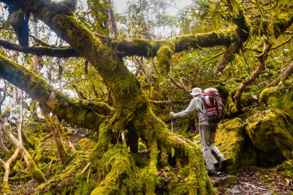 Entre Yangle et Dobato sur la Shipton trail dans la région du Makalu au Népal