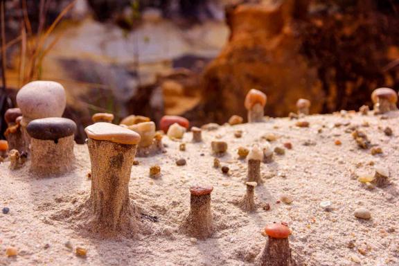 Exploration de la géologie singulière des plateaux sauvages du Makay