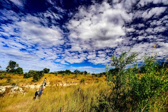 Trekking dans la savane des plateaux du Makay