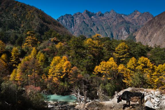 Village de Ghunsa dans la région du Kangchenjunga au Népal