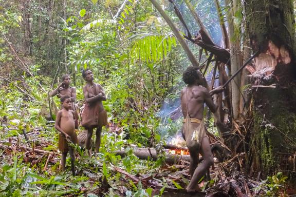Trek vers l'abattage d'un palmier sagoutier avec des Korowai de Papua indonésienne