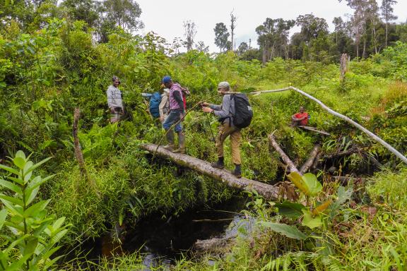 Trek pour aller à la rencontre des Korowai dans les forêts marécageuses du sud de la Papua