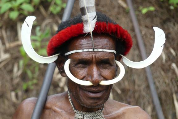 Trekking avec un homme papou dani dans la vélle de Baliem