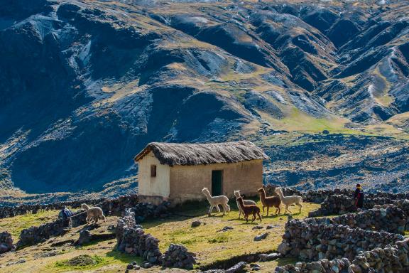Entre Upis et Ausangate Cocha pendant le trek de l’Ausangate au Pérou