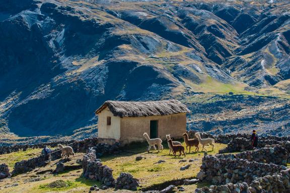 Entre Upis et Ausangate Cocha pendant le trek de l’Ausangate au Pérou