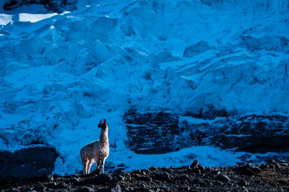 Entre Upis et Ausangate Cocha pendant le trek de l’Ausangate au Pérou