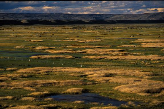 Désert d'altitudes et salars du Nord-Ouest argentin par la route 40