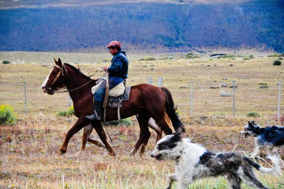 Gaucho dans le parc national Torres del Paine, province de Magallanes, Patagonie, Chili