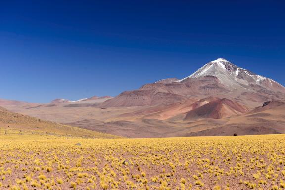 Ascension du Llullaillaco 6 739 m et découverte du Nord-Ouest Argentin