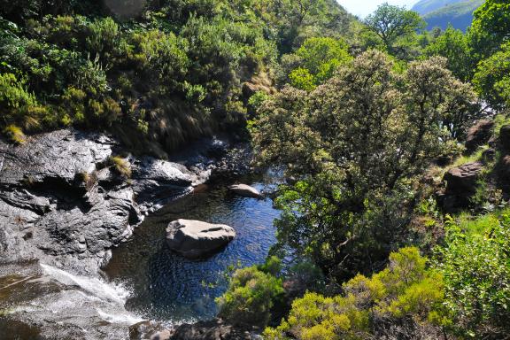 Randonnée et chutes d'eaux au Drakensberg