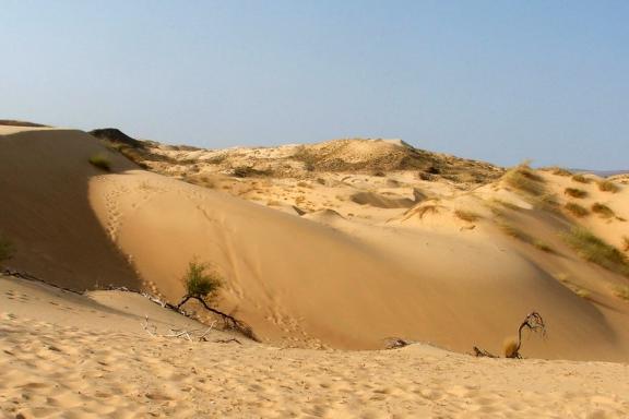 Trekking et étendues désertiquesen Afrique du sud