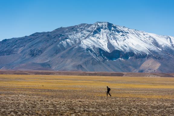 Rupshu Changtang au Ladakh en Inde