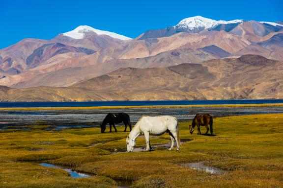 Lac Tsomoriri au Rupshu Changtang au Ladakh en Inde