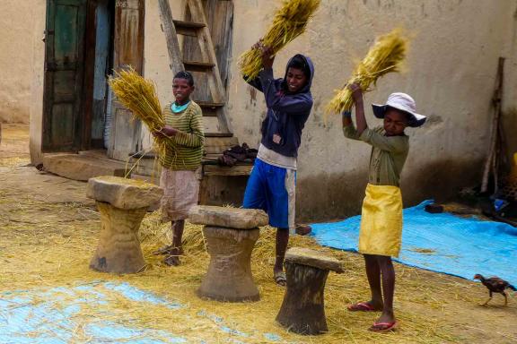 Randonnée vers des enfants travaillant dans une cour des campagnes malgaches