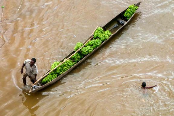 Découverte d'un barque transportant des bananes dans les hautes terres malgaches