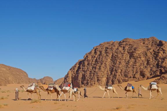 Voyage avec une caravane de chameau en Algérie