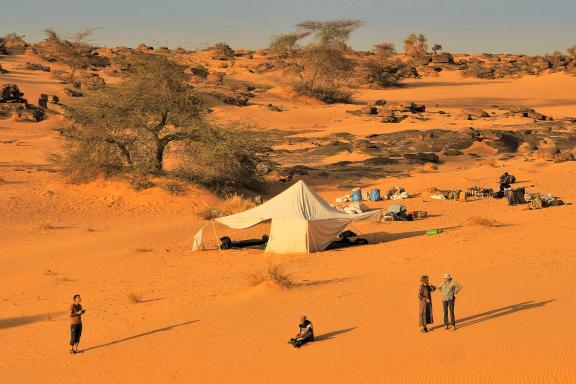 Trekking et bivouac dans l'Adrar