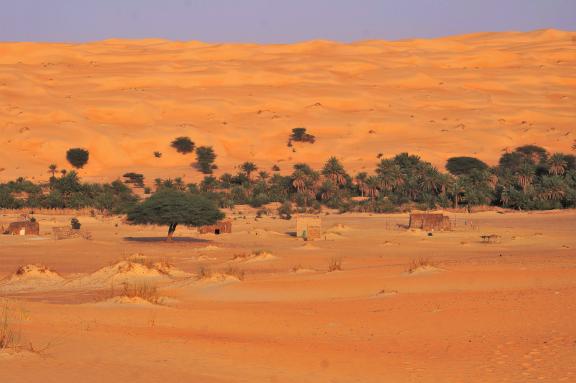 Trekking dans une palmeraie d'un village abandonnée en Mauritanie