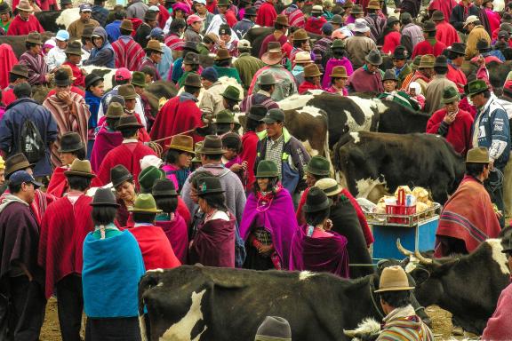 Le marché aux bestiaux de Guamoté dans les Andes en Équateur
