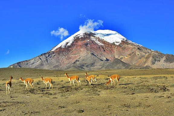Chimborazo à 6 268 m dans les Andes en Équateur