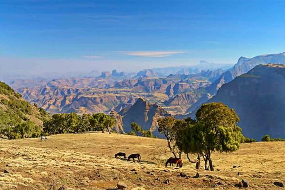 Trek dans le paysage du Massif du balé dans le Sud-est éthiopien