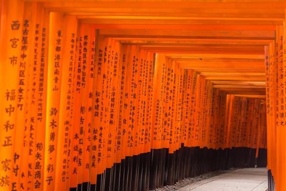 Voyage vers le Torii de Fushimi Inari Taisha à Kyoto, Japon