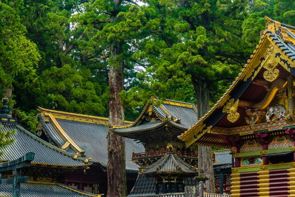 Visite du mausolée de Toshogu dans le parc national de Nikkō, au Japon