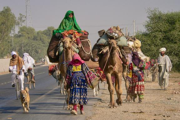 Voyage et rencontre de gipsy près de Multan au Pakistan
