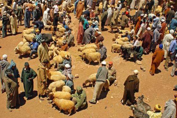 Voyage et souk Aït Bou Oulli au Maroc