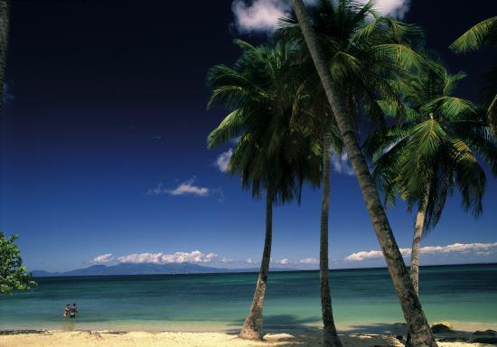 farniente à la plage de Sainte Anne