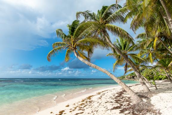 séjour à Marie Galante